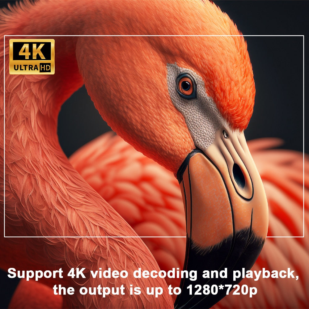 Transpeed 4K Android Projector