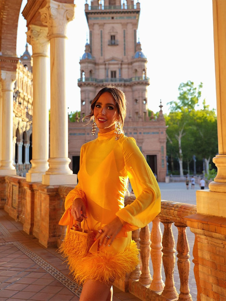 Long Sleeved Feather Dress