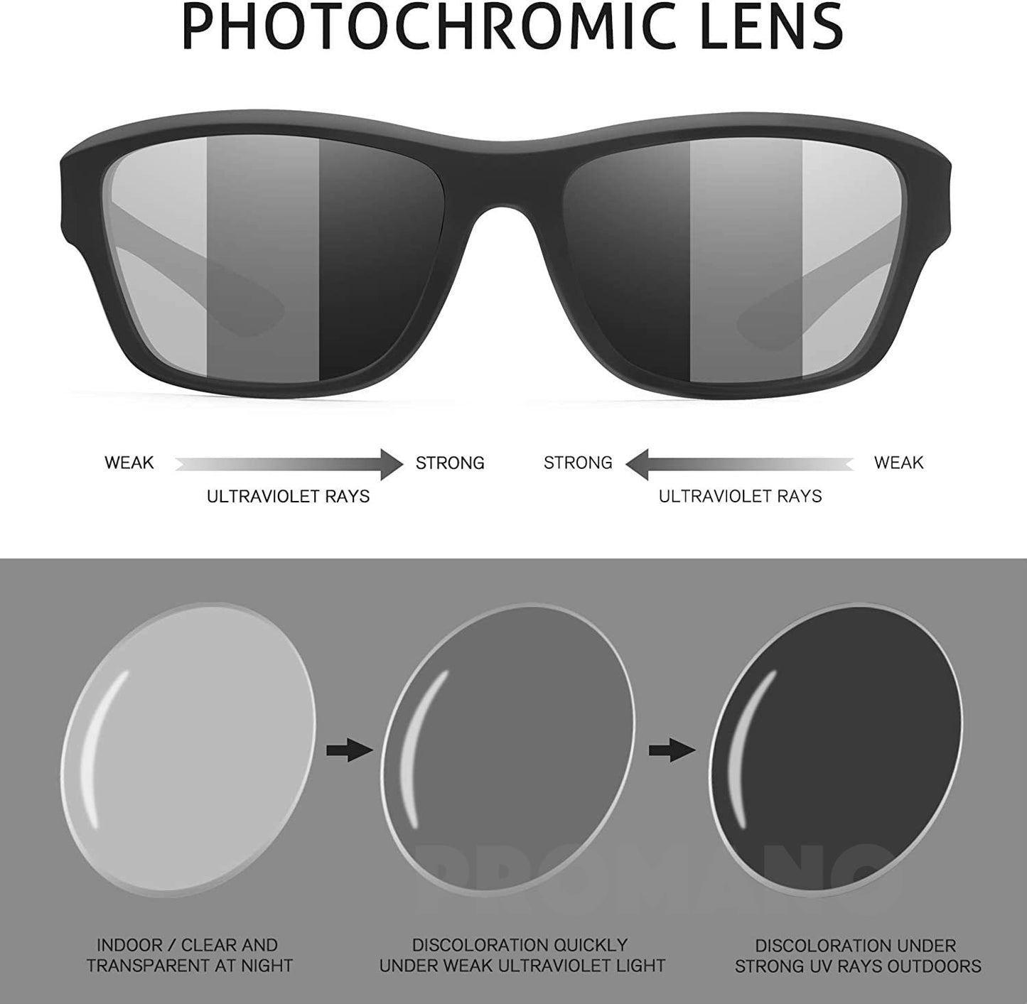 Dalwa Photochromic Fishing Sunglasses