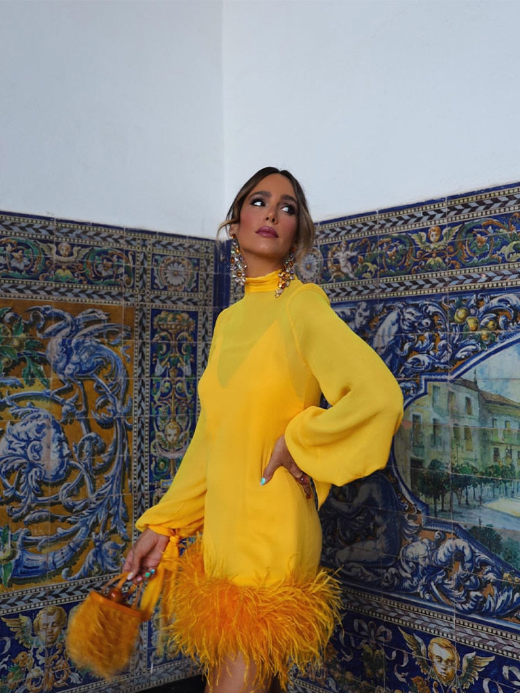 Long Sleeved Feather Dress