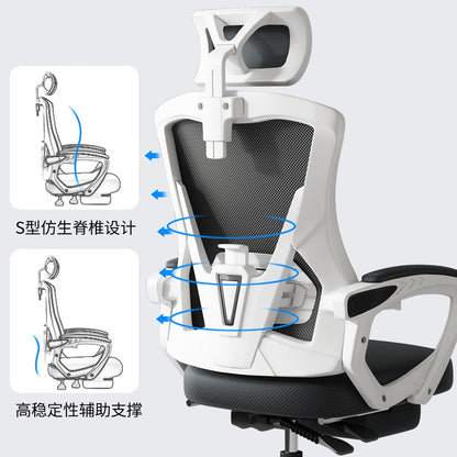 Ergonomic Mesh Office Chair