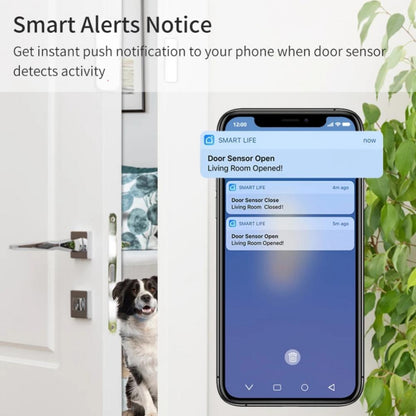 Aubess Tuya Door Sensor